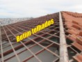 /album/fotos-de-reforma-de-telhado-no-bairro-alterosa-em-betim/a20-jpg4/